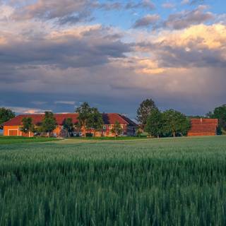 Farmers 4k wallpaper