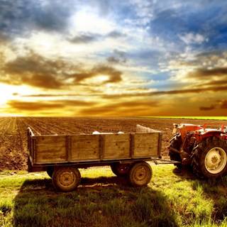 Farmers 4k wallpaper