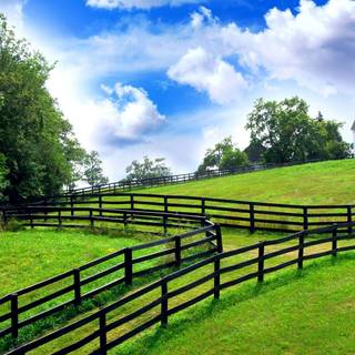 Farmers 4k wallpaper