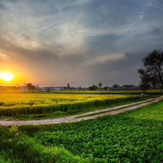 Farmers 4k wallpaper