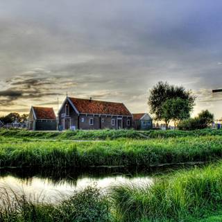 Farmers 4k wallpaper