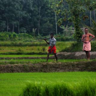 Farmers 4k wallpaper