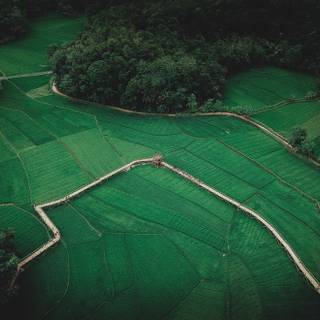 Farmers 4k wallpaper