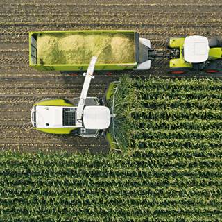 Farmers 4k wallpaper