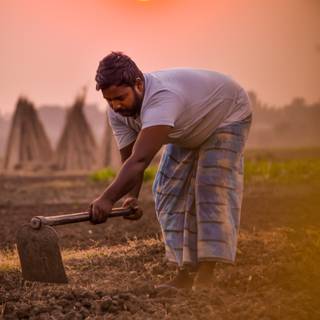 Farmers 4k wallpaper