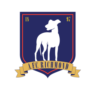AFC Richmond wallpaper