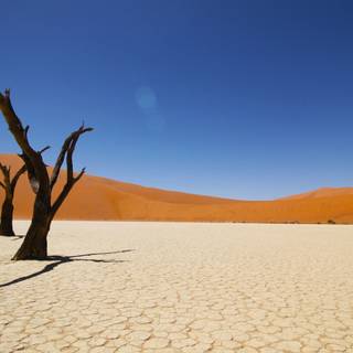 Barren land wallpaper