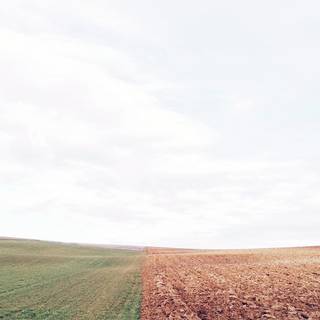 Barren land wallpaper