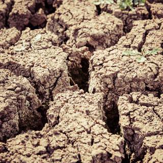 Barren land wallpaper