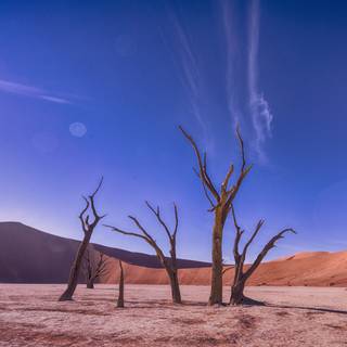 Barren land wallpaper