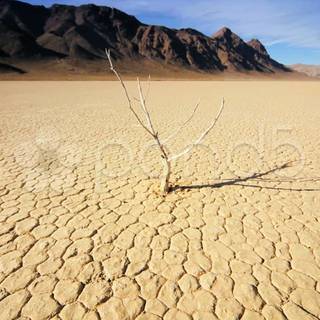 Barren land wallpaper