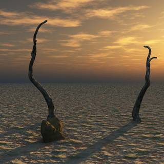 Barren land wallpaper