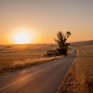 Barren land wallpaper