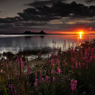 Barren land wallpaper