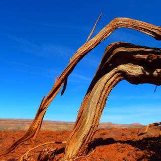 Barren land wallpaper