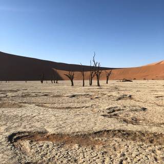 Barren land wallpaper