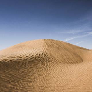 Barren land wallpaper