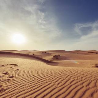 Barren land wallpaper