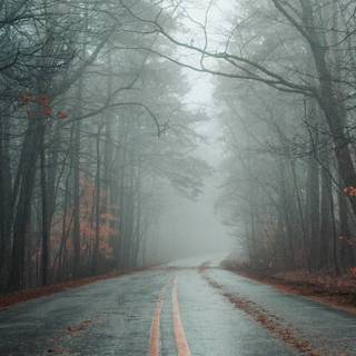 iPhone foggy autumn wallpaper