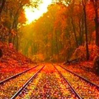 iPhone Pro Max autumn wallpaper