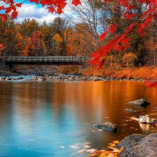 iPhone Pro Max autumn wallpaper