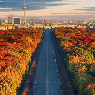 iPhone Pro Max autumn wallpaper