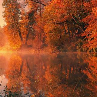 4k iPhone autumn wallpaper