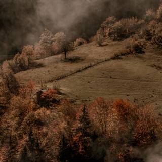 iPhone foggy autumn wallpaper