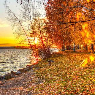 iPhone Pro Max autumn wallpaper