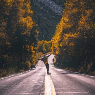 iPhone Pro Max autumn wallpaper