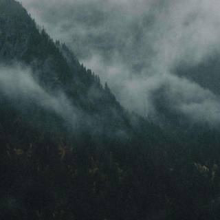 iPhone foggy autumn wallpaper