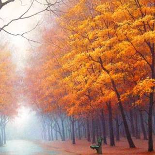 iPhone foggy autumn wallpaper
