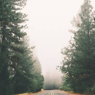 iPhone foggy autumn wallpaper