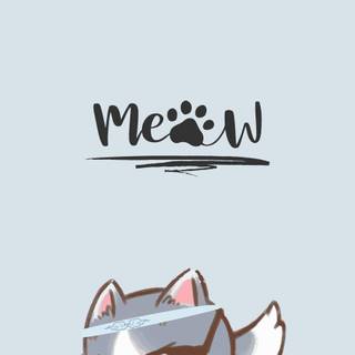 Cat 4k phone wallpaper