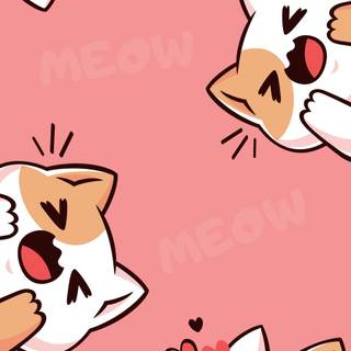 Cat 4k phone wallpaper