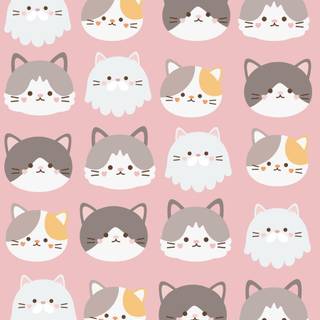 Cat 4k phone wallpaper