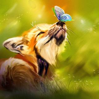 Cute animals 4k wallpaper