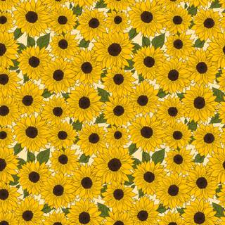 Sunflower pattern wallpaper