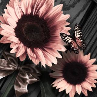 Pink sunflower wallpaper