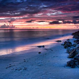 Night time summer wallpaper