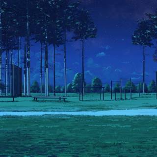 Night time summer wallpaper