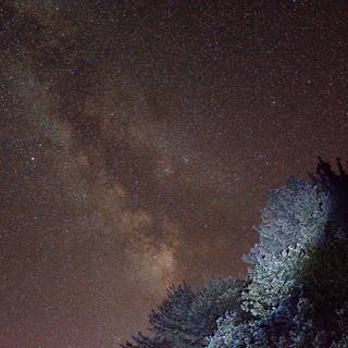 Night time summer wallpaper