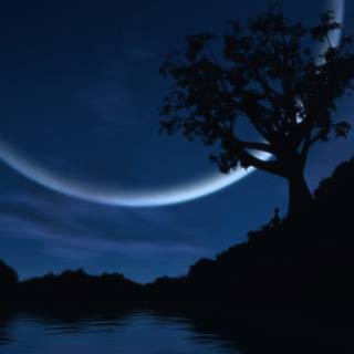 Night time summer wallpaper