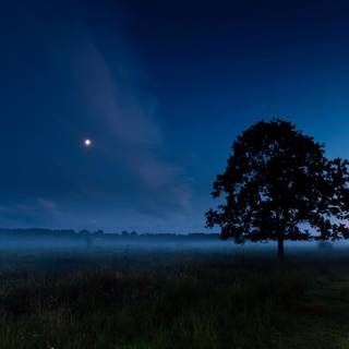 Night time summer wallpaper