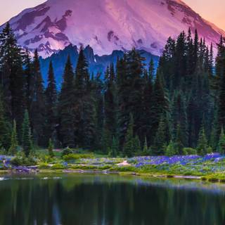 Landscape 4k phone wallpaper