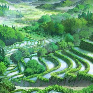 Landscape 4k phone wallpaper