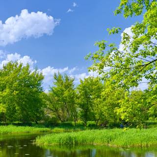 Landscape 4k phone wallpaper