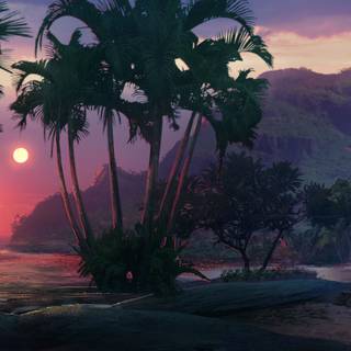 4k sunset beach wallpaper