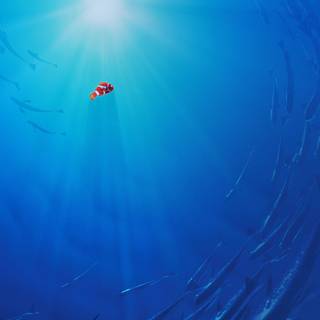 Disney 4k iPhone wallpaper