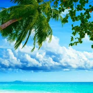 Desktop view wallpaper